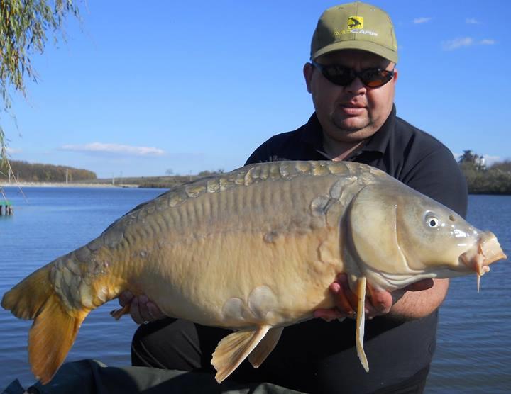 Pescuit la crap - miss-noiembrie.jpg